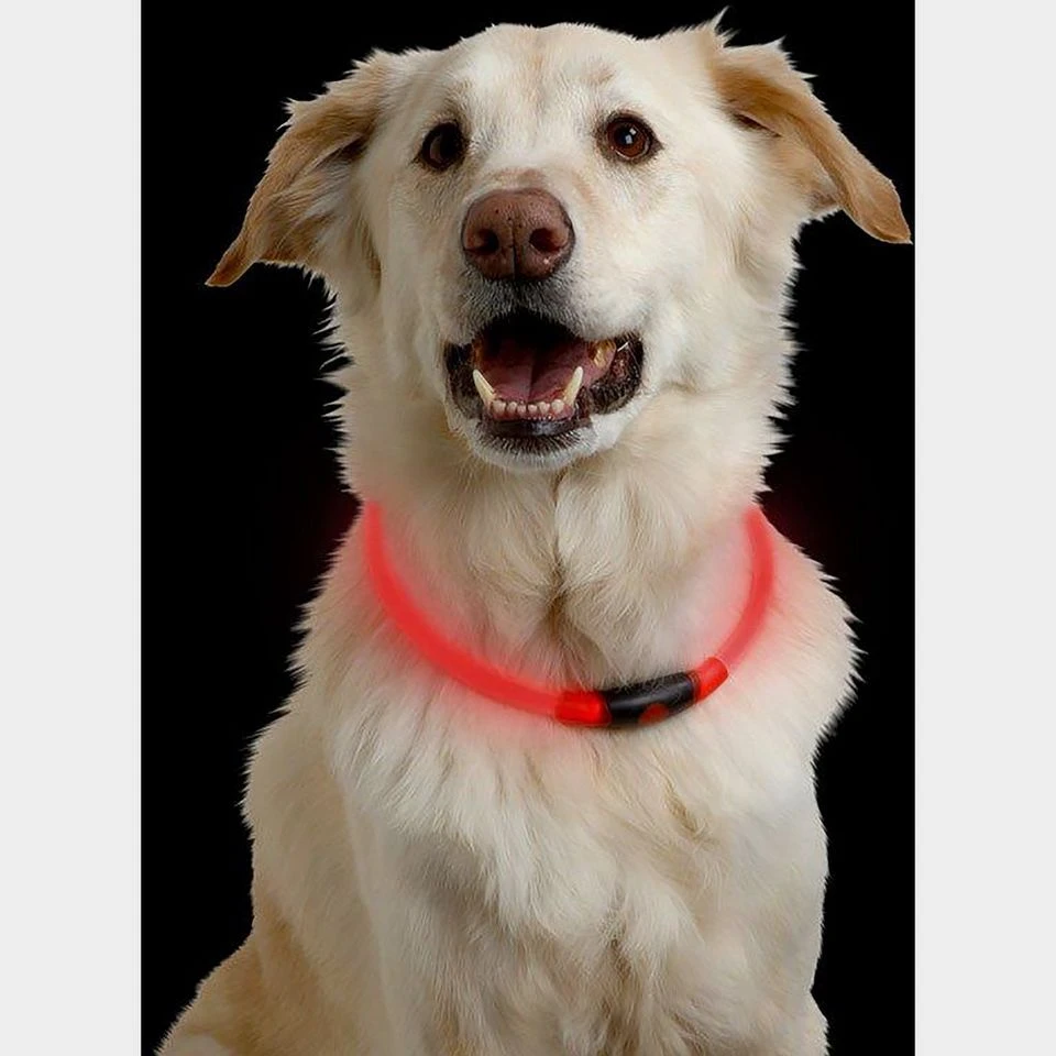 Nitehowl LED Safety Necklace 3 Nitehowl LED Safety Necklace