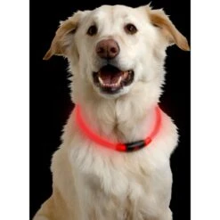 Nitehowl LED Safety Necklace 7 Nitehowl LED Safety Necklace -Garden & Outdoor Equipment Stores go 317476 z