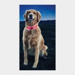 Nite Dawg II LED Collar (Large) 6 Nite Dawg II LED Collar (Large) -Garden & Outdoor Equipment Stores go 319396 b