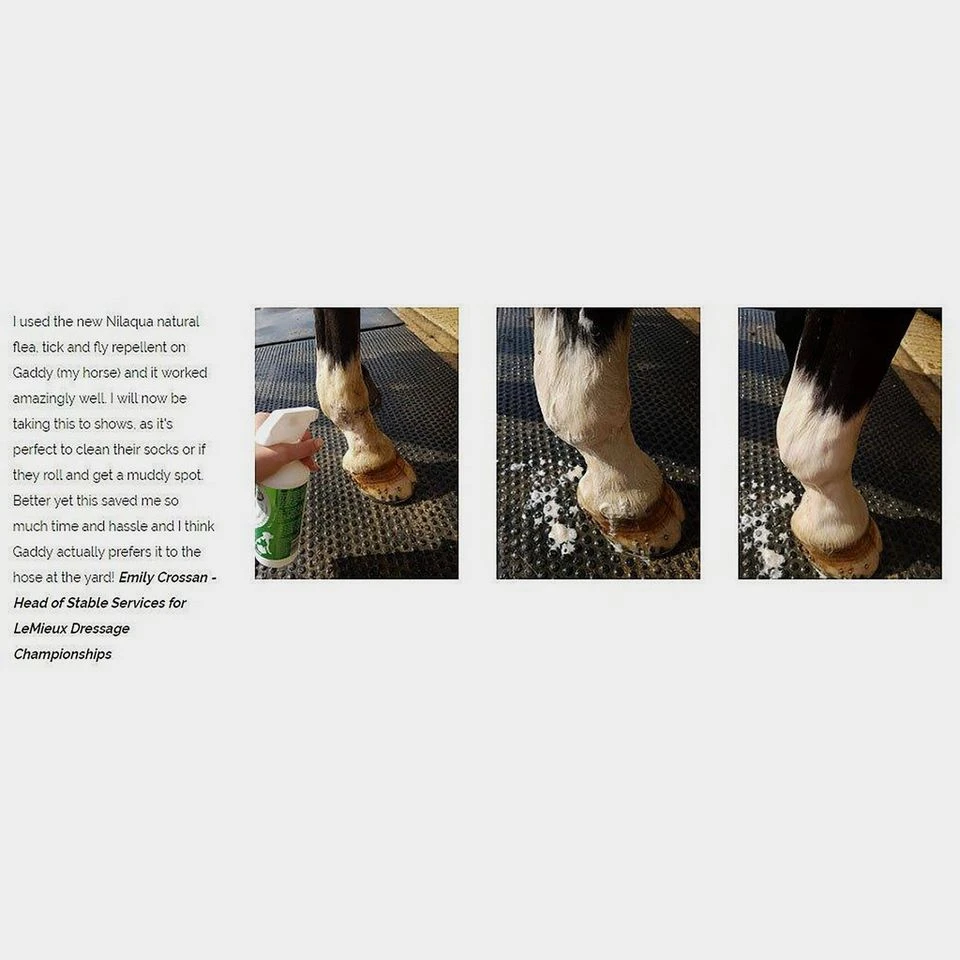 "Towel Off" Pet Shampoo With Natural Insect Repell 4 "Towel Off" Pet Shampoo With Natural Insect Repell - Image 2