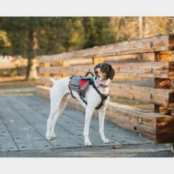 Summit Backpack (Medium) 8 Summit Backpack (Medium) -Garden & Outdoor Equipment Stores go 331556 c