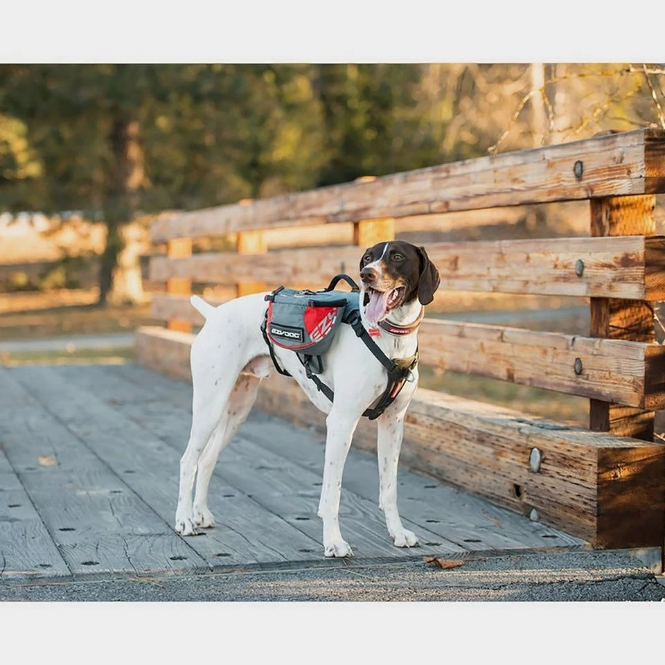 Summit Backpack (Medium) 5 Summit Backpack (Medium) - Image 3