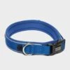 Classic Neo Dog Collar Ble -Garden & Outdoor Equipment Stores go 381776 a