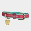 Padded Leather Dog Collar -Garden & Outdoor Equipment Stores go 478345 a