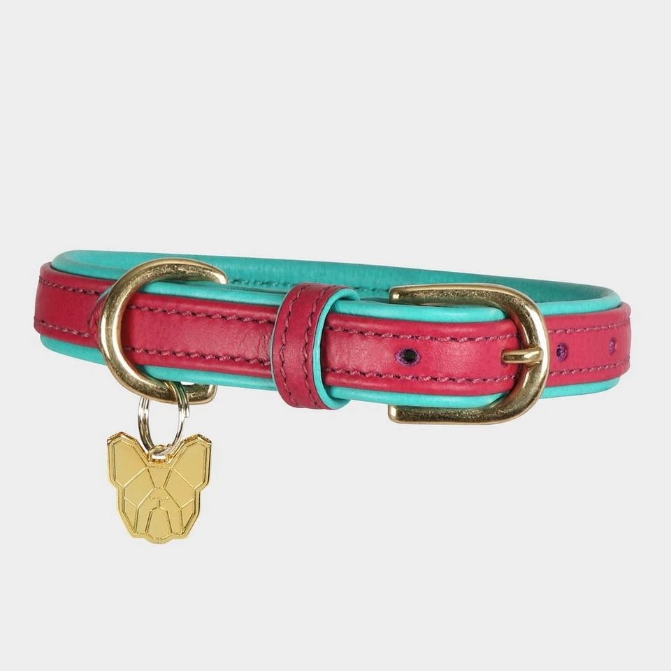 Padded Leather Dog Collar 3 Padded Leather Dog Collar