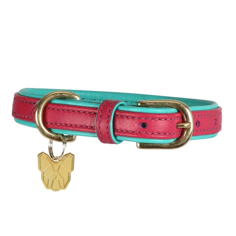 Padded Leather Dog Collar 4 Padded Leather Dog Collar - Image 2