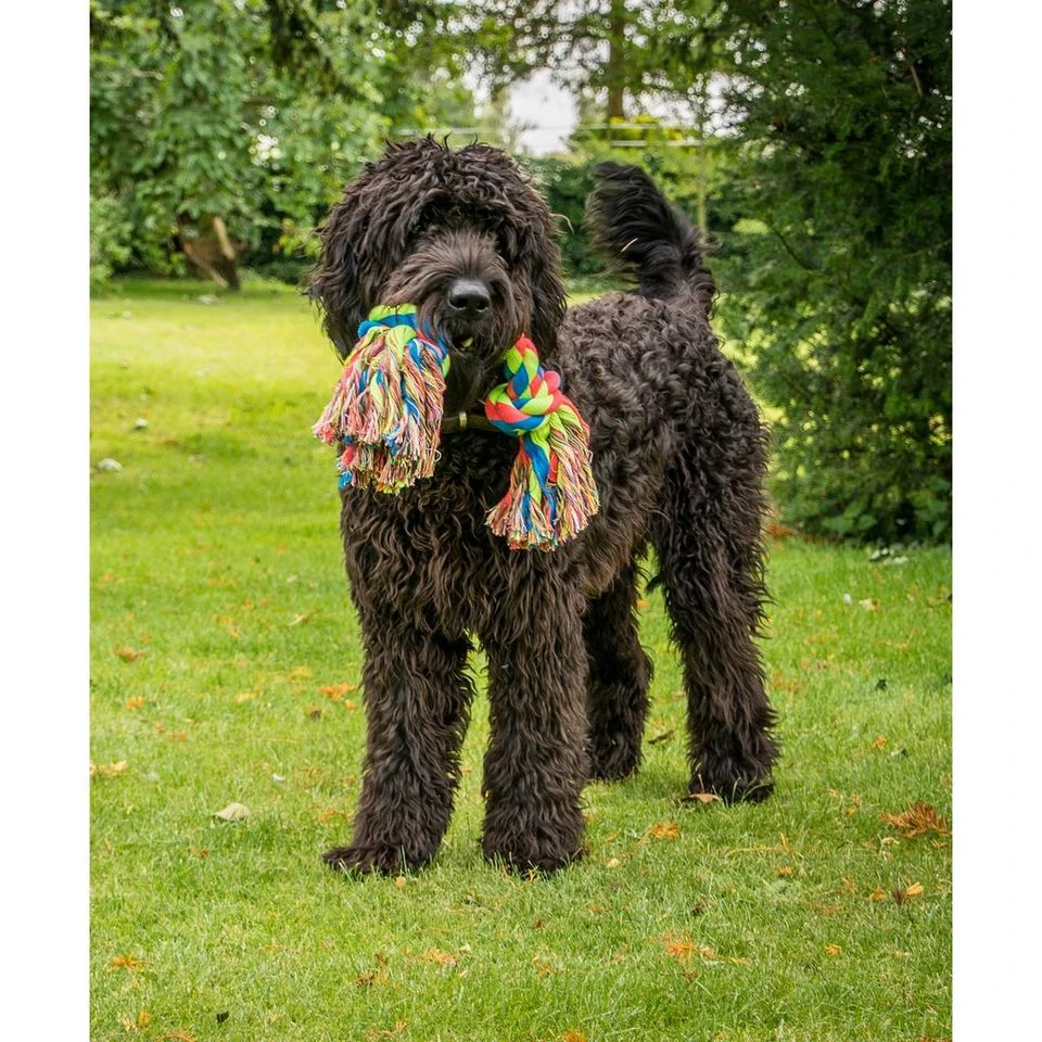 Toyz Triple Knot 4 Toyz Triple Knot - Image 2