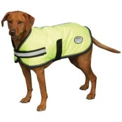 Weatherbeeta Comfitec Reflective Insulated Dog Coat 7 Weatherbeeta Comfitec Reflective Insulated Dog Coat -Garden & Outdoor Equipment Stores go 517456 z