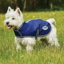 Weatherbeeta Comfitec Premier Free Parka Dog Coat 7 Weatherbeeta Comfitec Premier Free Parka Dog Coat -Garden & Outdoor Equipment Stores go 517484 z