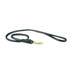 Weatherbeeta Rolled Leather Dog Lead 7 Weatherbeeta Rolled Leather Dog Lead -Garden & Outdoor Equipment Stores go 517574 z