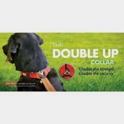Double Up Dog Collar (Small) -Garden & Outdoor Equipment Stores go 604688 c